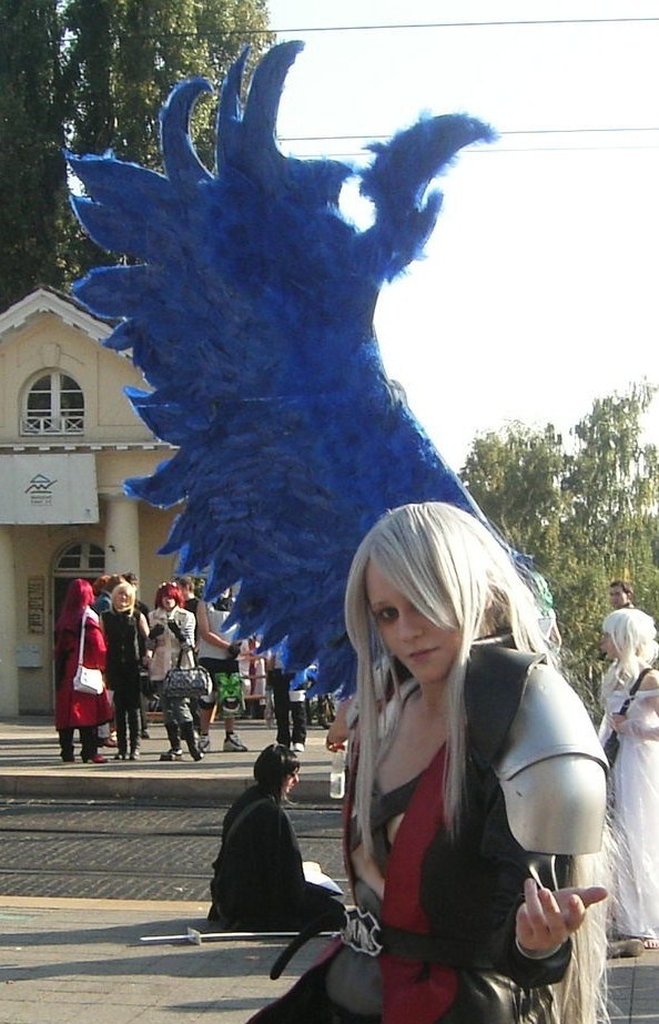 Sephiroth Kingdom Hearts 1