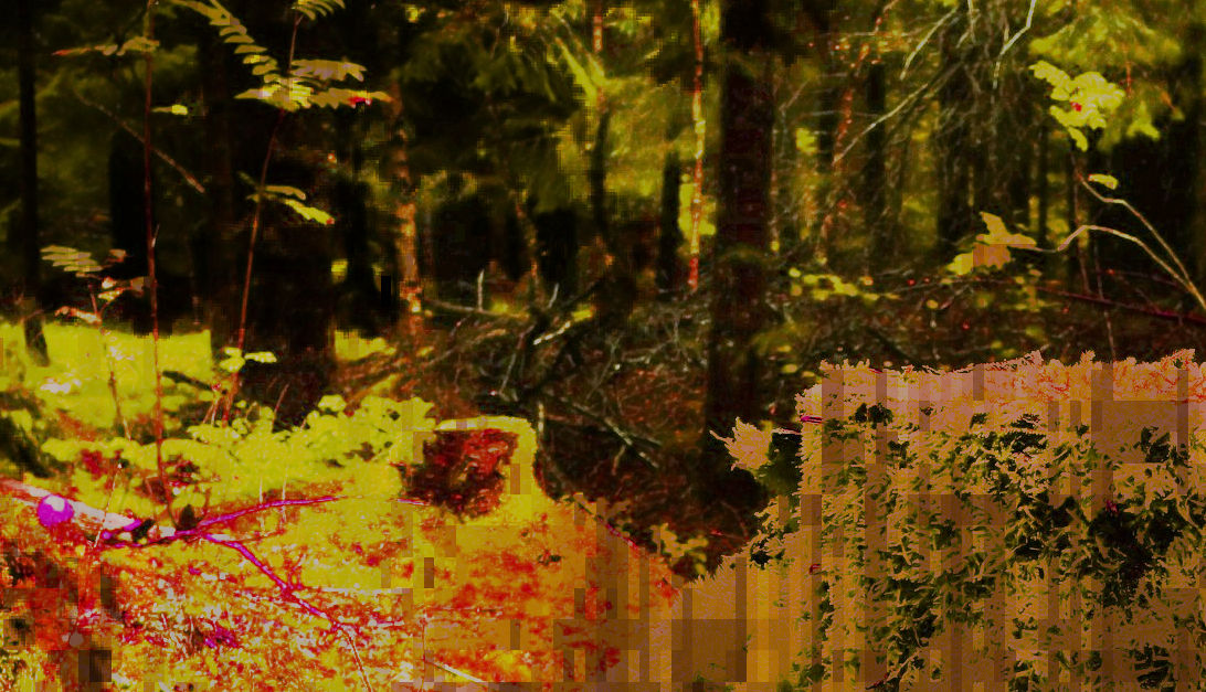 Magic Rot by qubitforest on DeviantArt