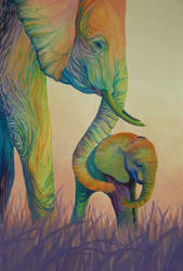 Colorful elephants