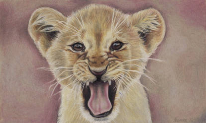 Roaring cub