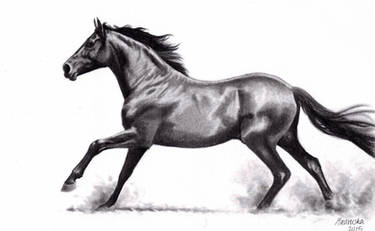 Galloping Horse (pencil)
