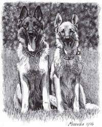 German Shepherds