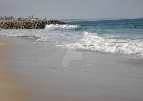 Carlsbad Beach_waves4