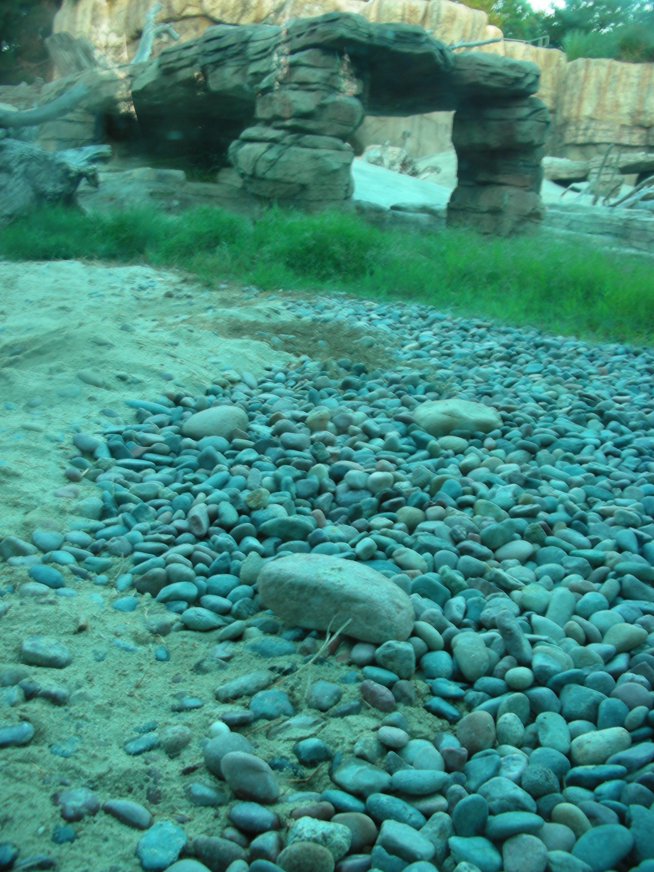 Polar Bear Exhibit_rocks