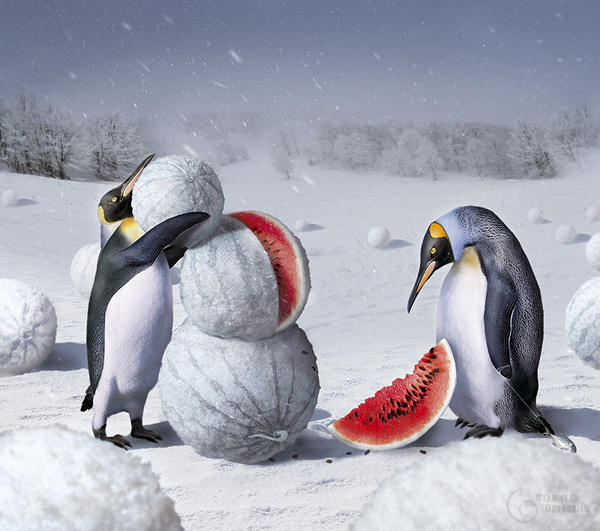 Kherson winter