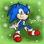 :Just Sonic: