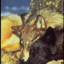 Wolves snuggling