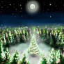 A Midnight Clearing