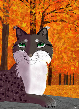 Changes Deviantart Explore the Best Change Art | DeviantArt