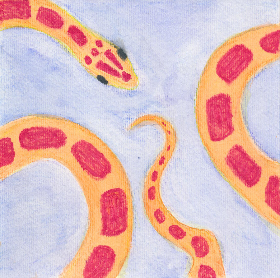 Cornsnake by kamiki