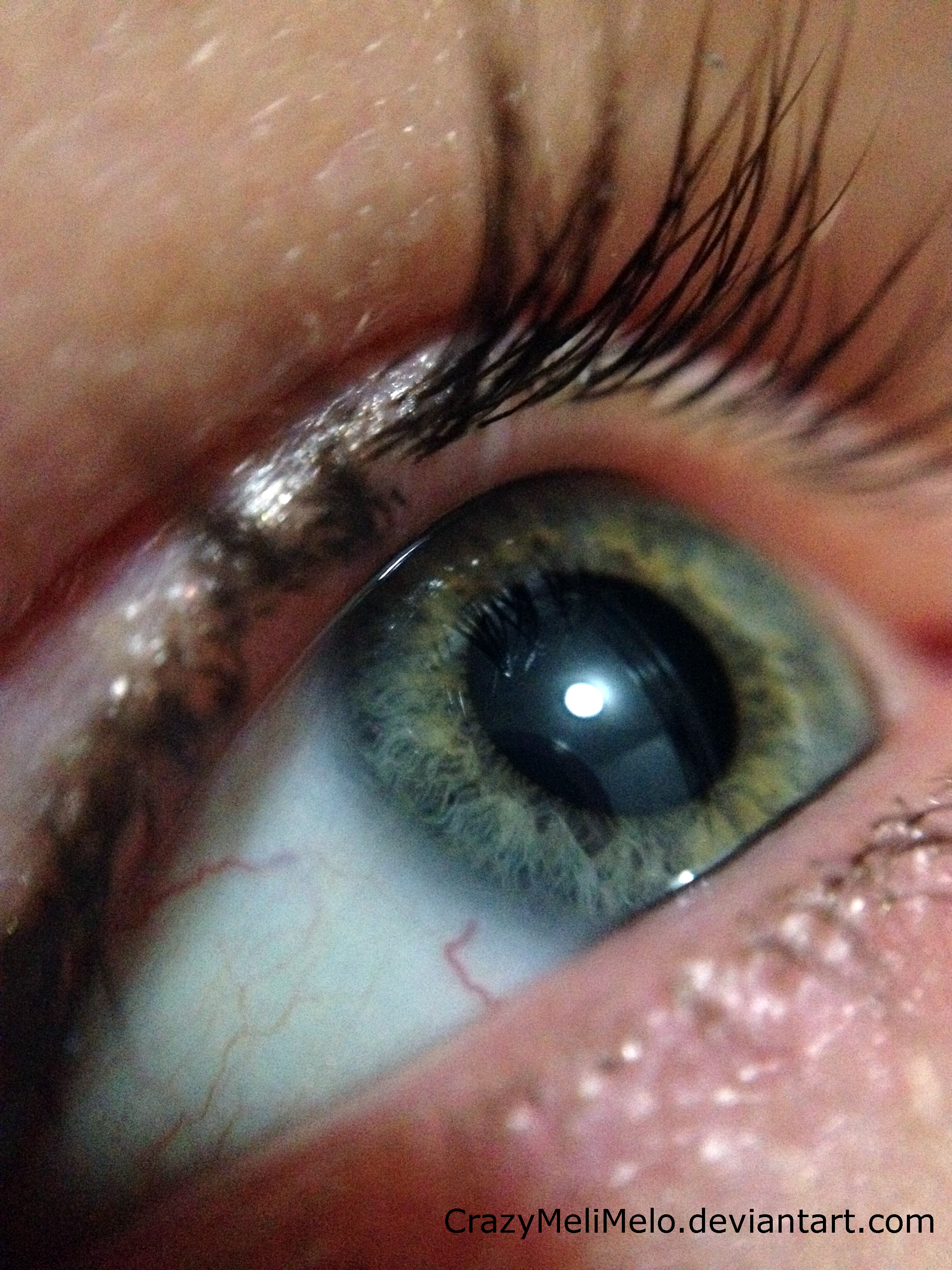 .:Izy's Micro Eye:.