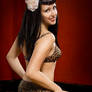 Vintage pinup