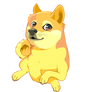 DOGE