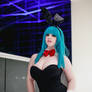 Bunnygirl Bulma - Katsucon