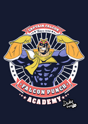 Falcon Punch Academy