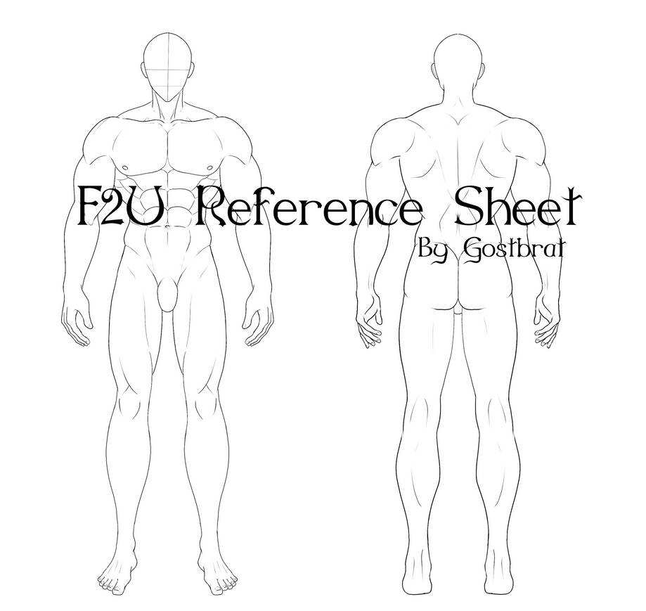 Lean Body Base Reference F2U Male reference sheet base by gostbrat on DeviantArt
