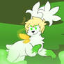 Shaymin Lloyd