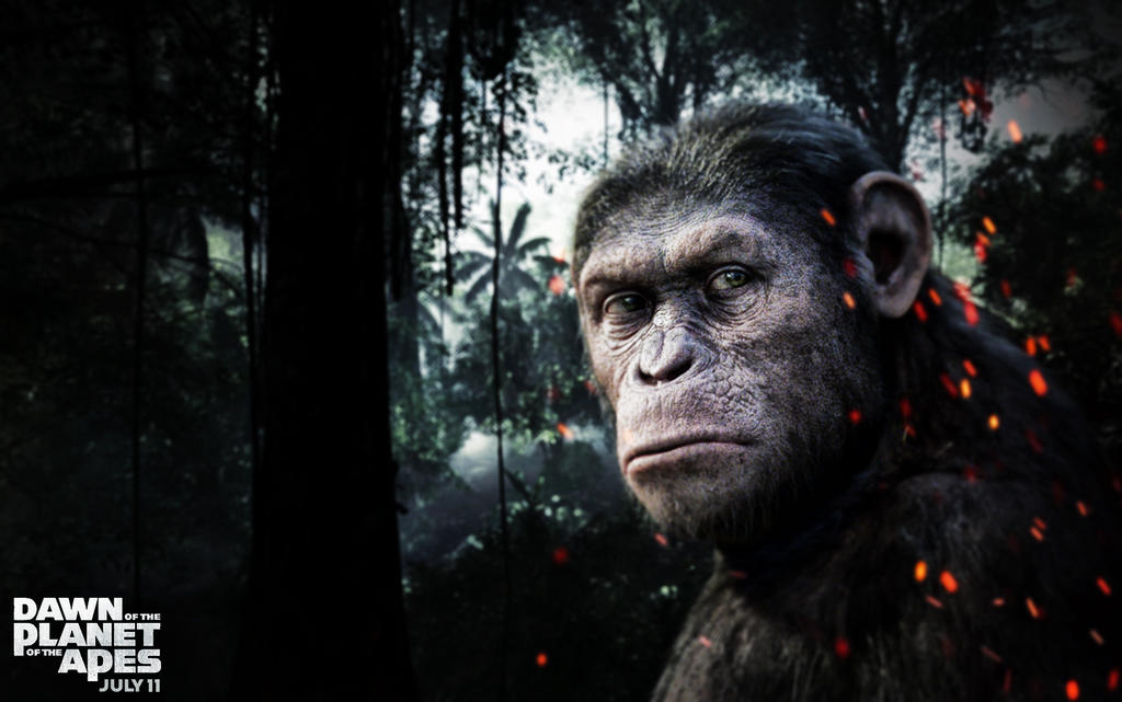 Dawn of The Planet Of the Apes Wallpaper v2 (2015) by ByBREDI on DeviantArt Dawn of The Planet Of the Apes Wallpaper v2 (2015) by ByBREDI on DeviantArt