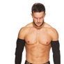 Finn Balor Render.