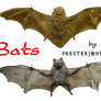 Pre-cut Bats
