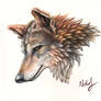 Sketchbook.09 - Gray Wolf