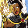 Storm Sketch Card