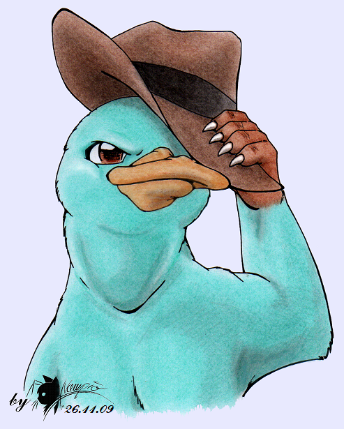 Perry, the platypus