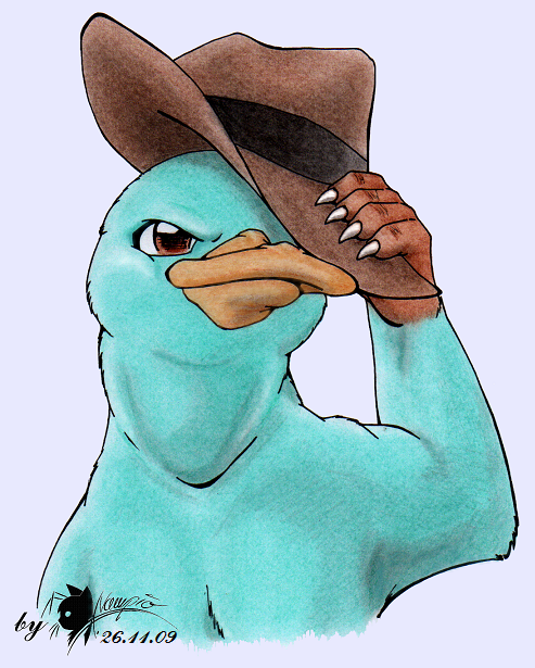 Perry, the platypus by K-Vampio on DeviantArt Perry, the platypus by K-Vampio on DeviantArt