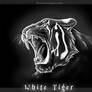 White tiger Reiden
