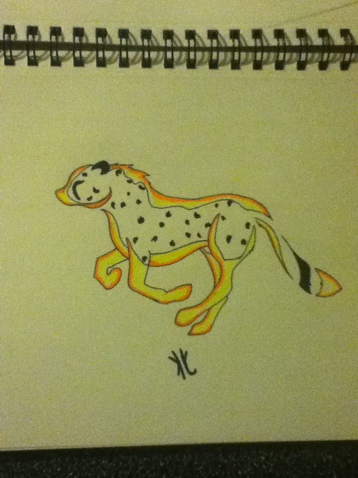 my tribal cheetah