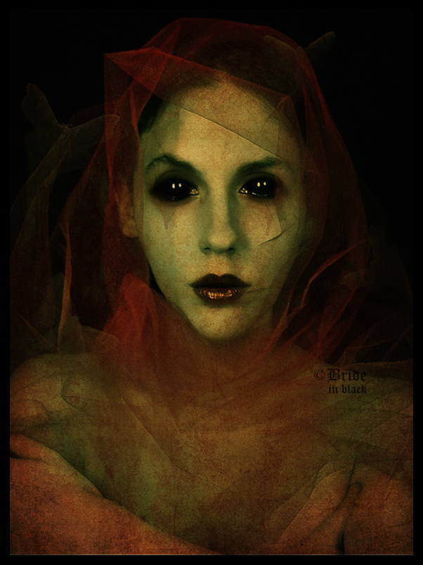 Medieval succubus by brideinblacklace on DeviantArt