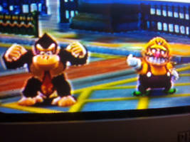 Donkey Kong and Wario win