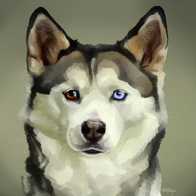 Husky Deviantart Husky Portrait by EmeraldSketches on DeviantArt