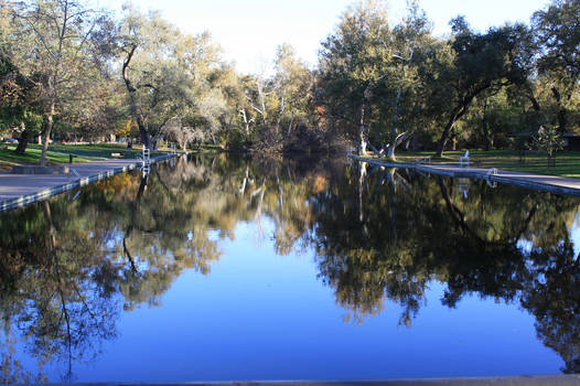 Bidwell Park