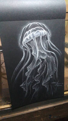 Jellyfish on black paper