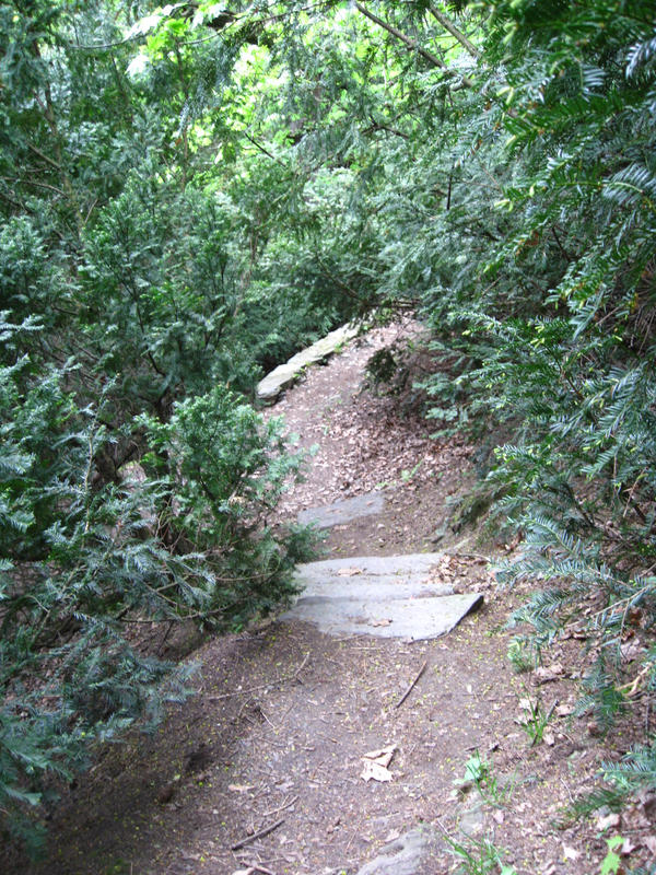 Pathway 3