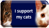 I support ... my cats