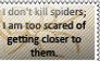 Spiders