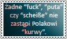 Polskie bluzgi by black-cat16-stamps