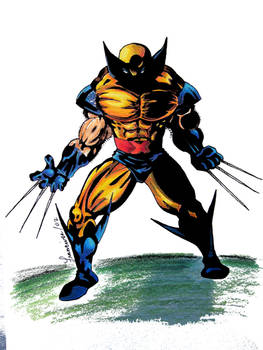 Wolverine Pencil Crayon