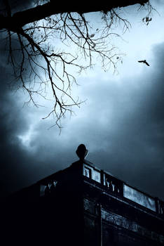 free as a bird