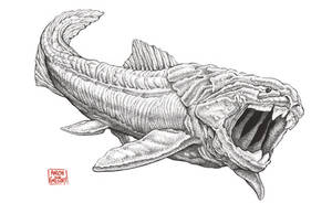 Dunkleosteus