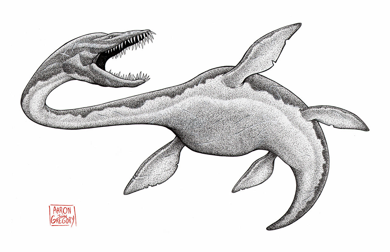 elasmosaurus - 5 Elasmosaurus by aaronjohngregory on DeviantArt