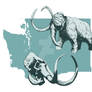 Washington State Fossil - Woolly Mammoth