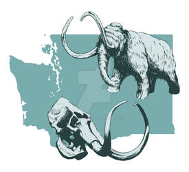 Washington State Fossil - Woolly Mammoth