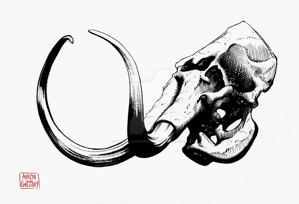 Alaskan Fossils Mammoth Skulls