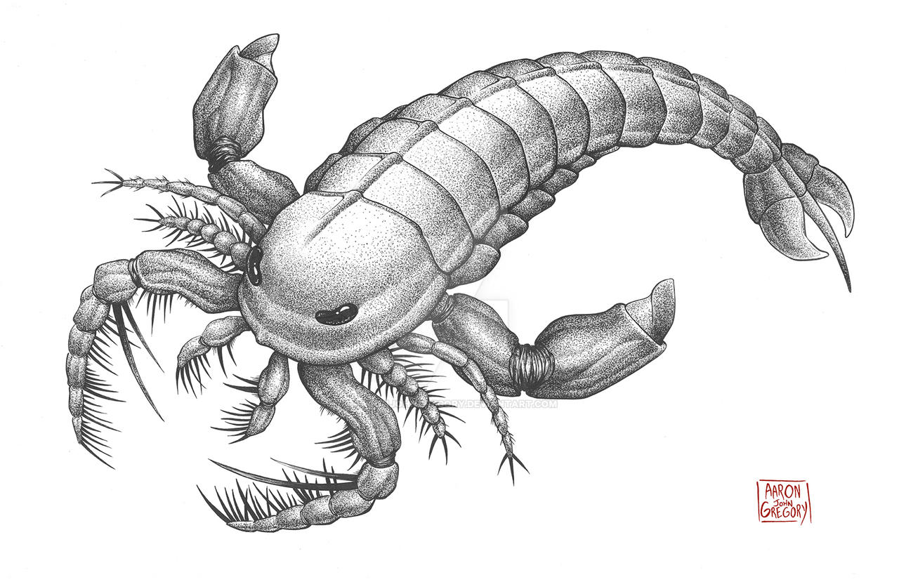 Megalograptus Eurypterid By Aaronjohngregory On DeviantArt megalograptus-eurypterid-by-aaronjohngregory-on-deviantart