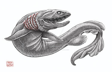 Frilled Shark