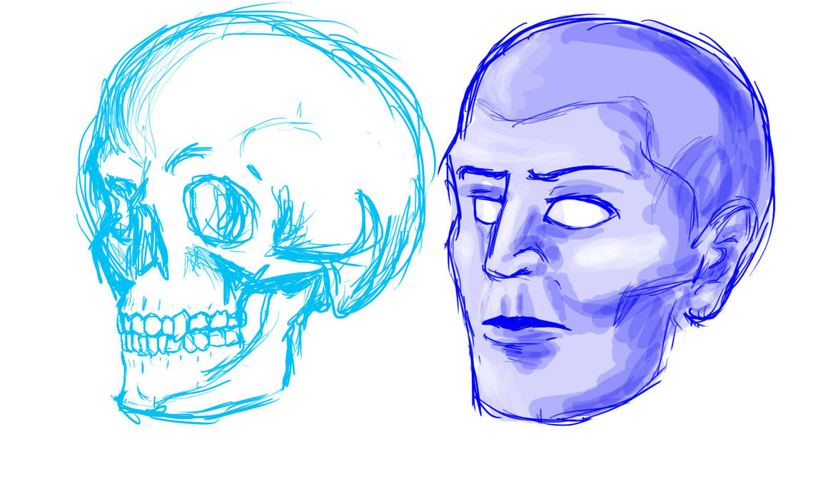 Facial Anatomy Practice by Wolf0fAges on DeviantArt