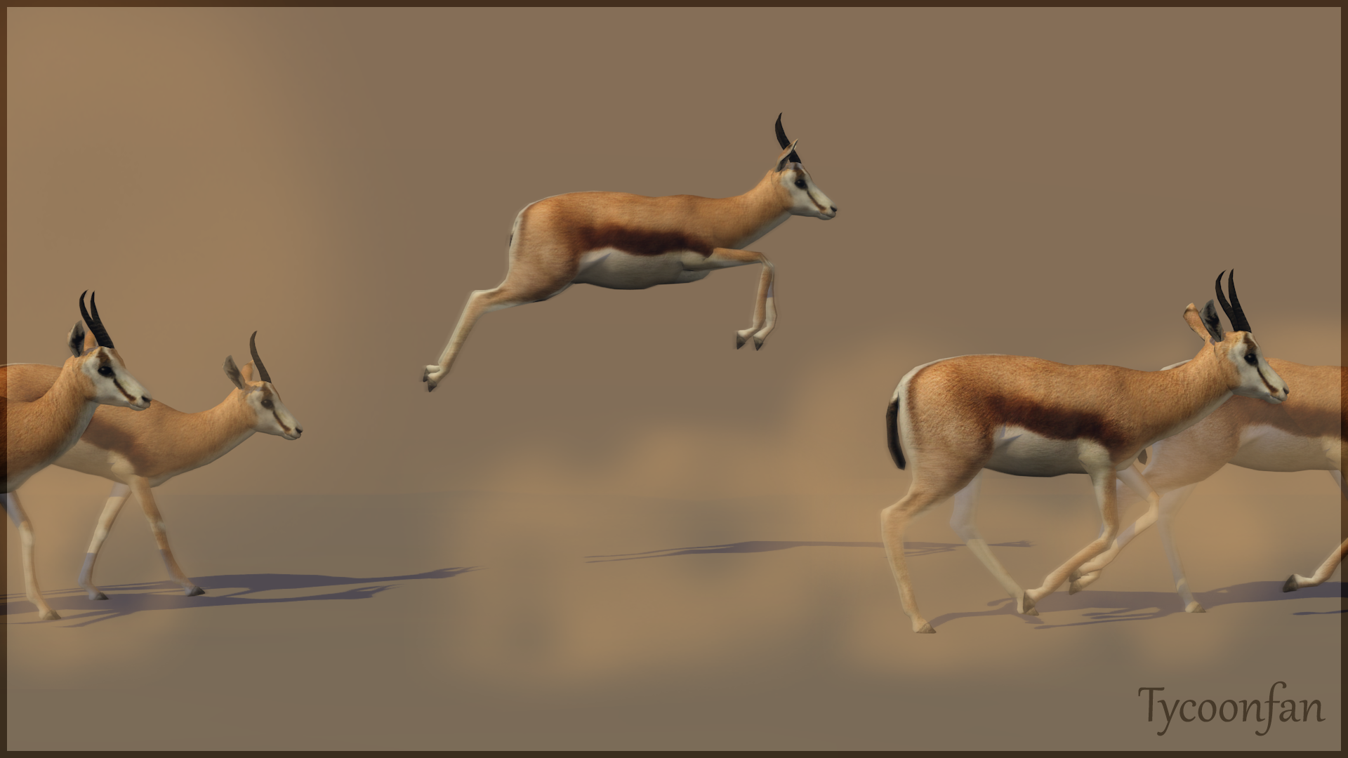 Springbok Running